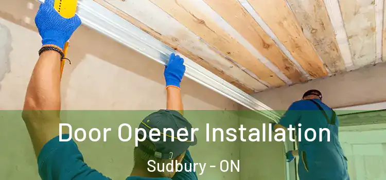 Door Opener Installation Sudbury - ON