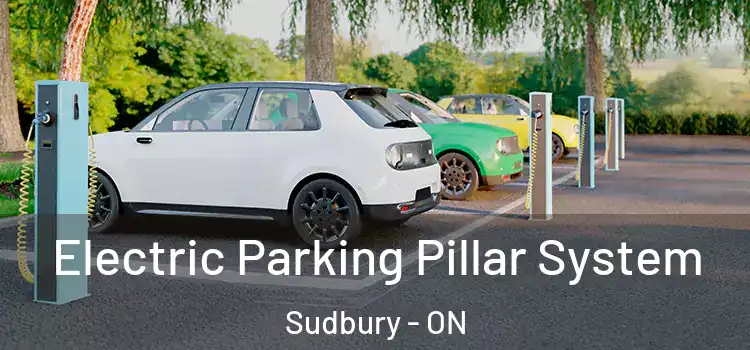 Electric Parking Pillar System Sudbury - ON