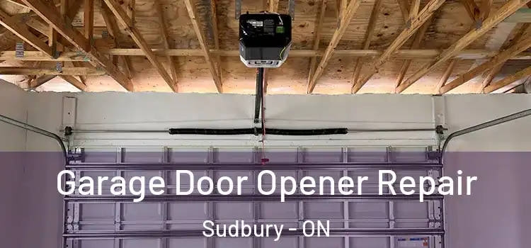  Garage Door Opener Repair Sudbury - ON