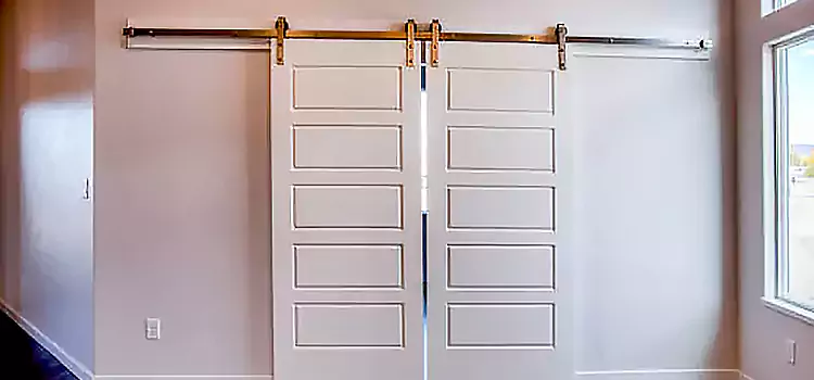 Glass Barn Door with Installation Hardware Kit Sudbury