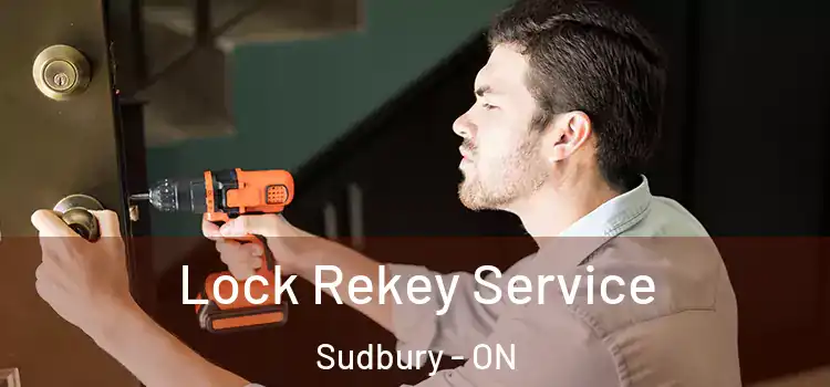 Lock Rekey Service Sudbury - ON