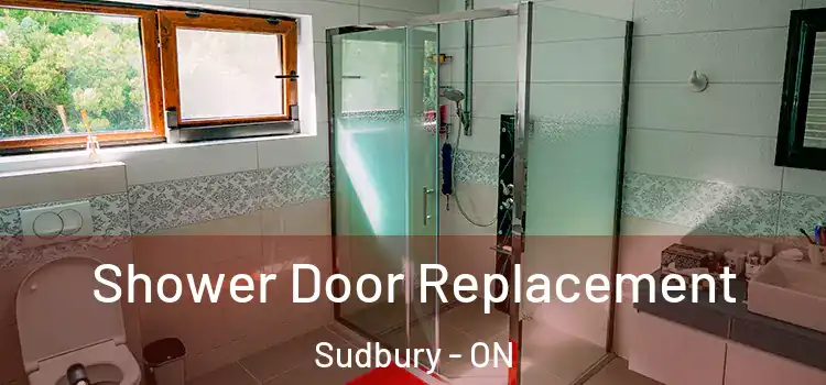 Shower Door Replacement Sudbury - ON