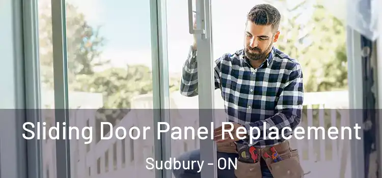  Sliding Door Panel Replacement Sudbury - ON
