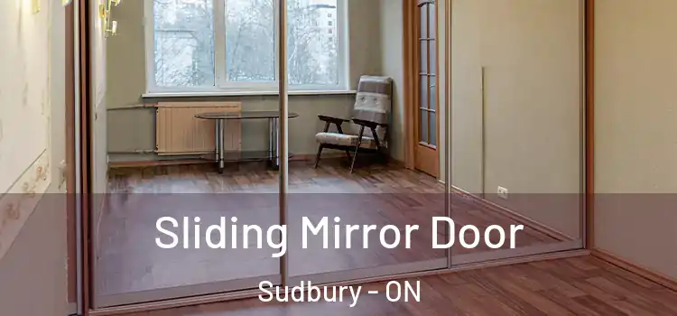  Sliding Mirror Door Sudbury - ON